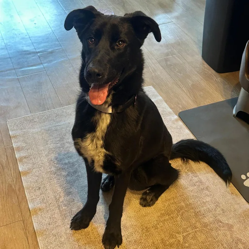 Mary Winchester thumbnail 4