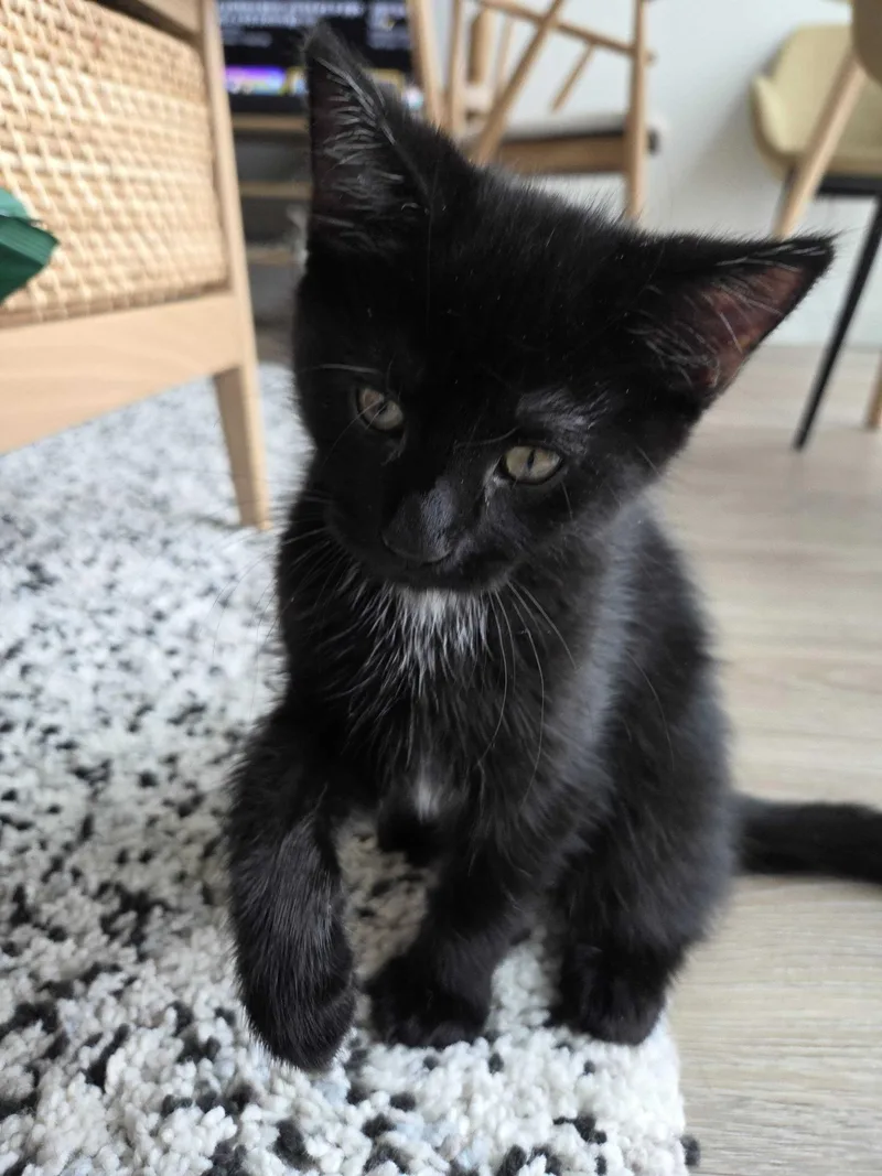 Red Velvet Cake thumbnail 2