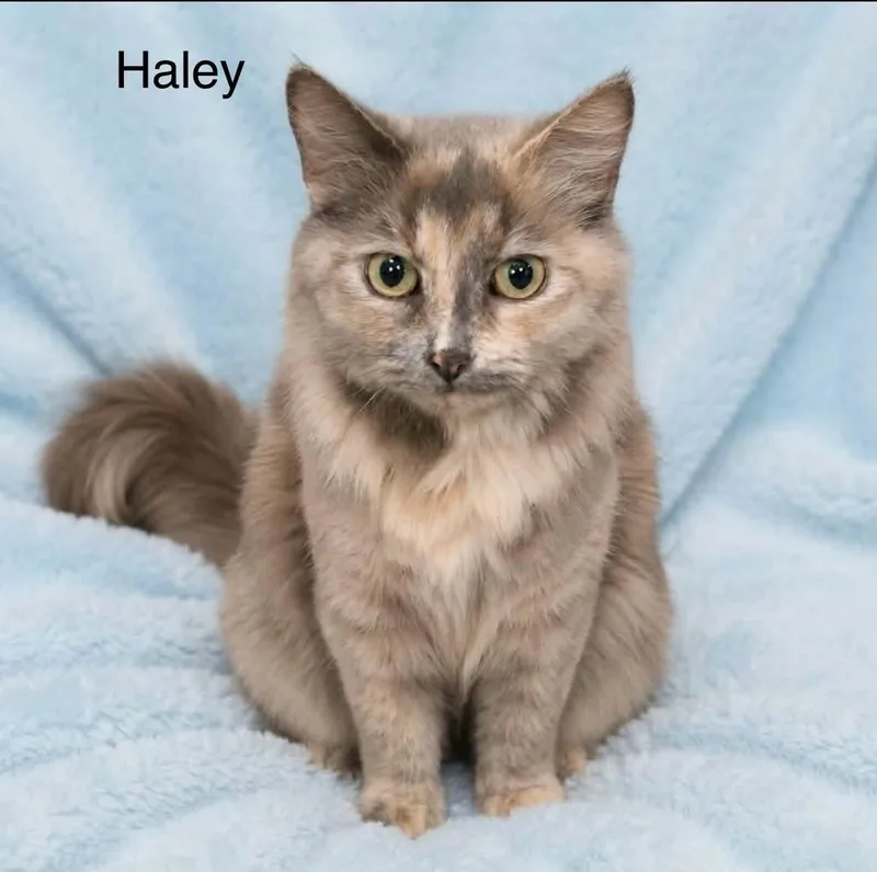 Haley thumbnail 2