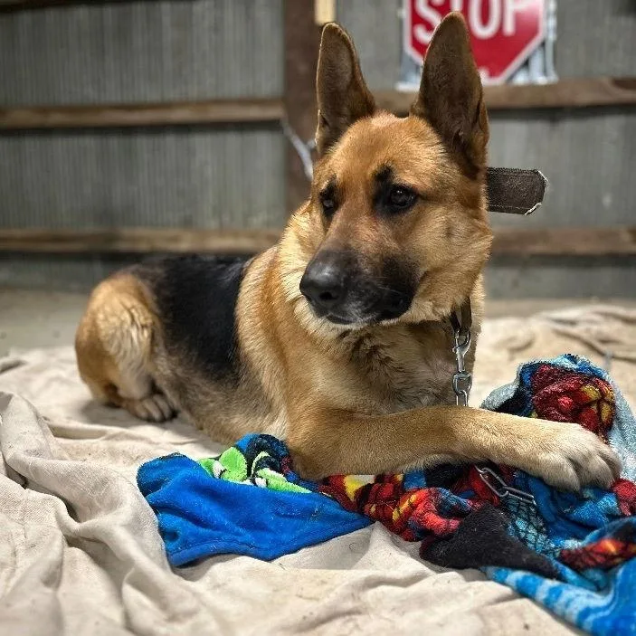 Zz Lexie~ Courtesy thumbnail 2