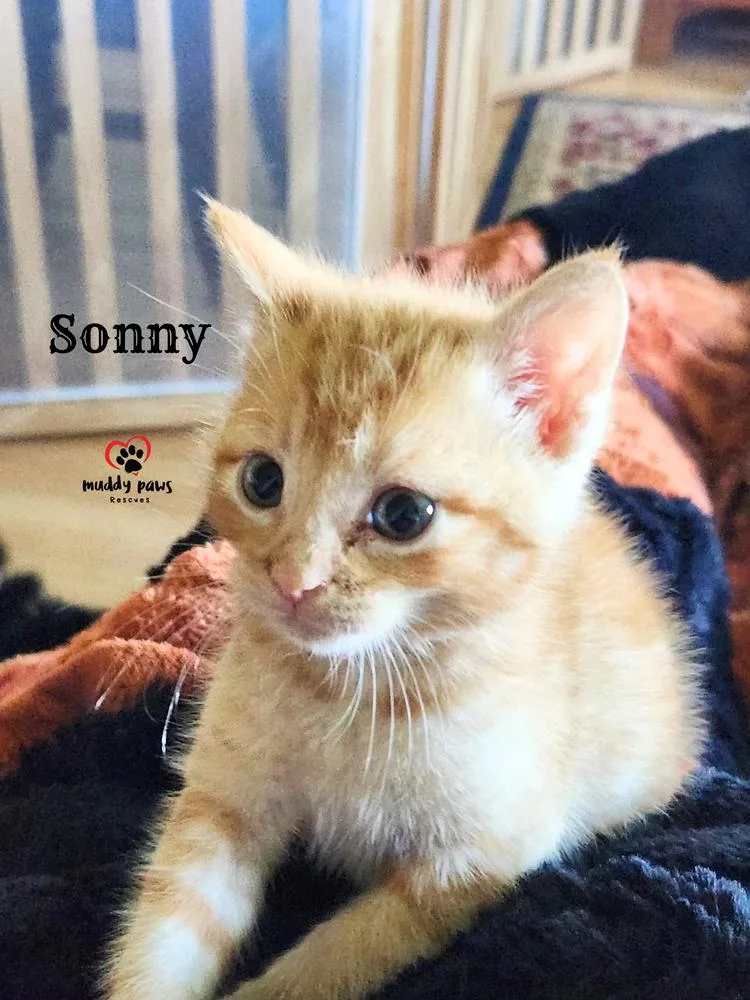 Farm Boys:  Sonny thumbnail 3