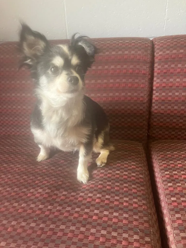 Carmen