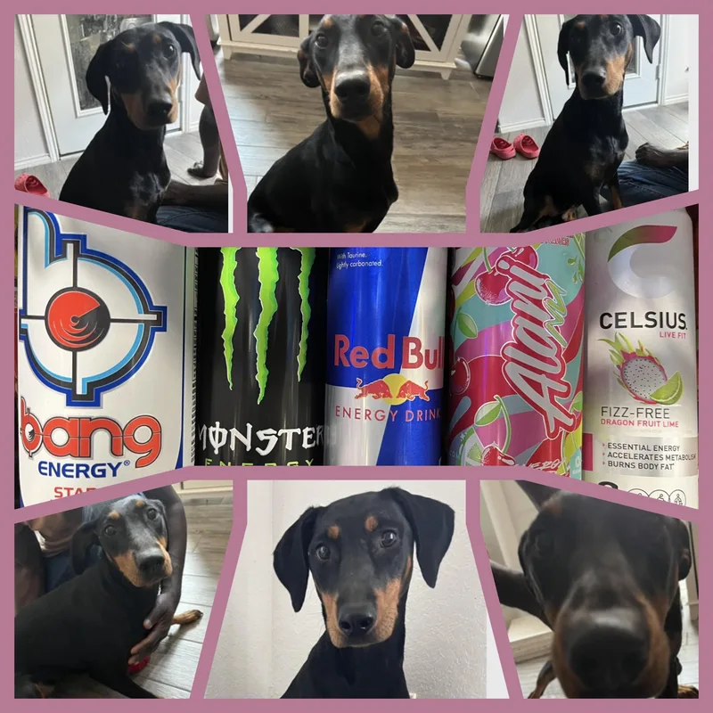 Pink Alani  Make thumbnail 3