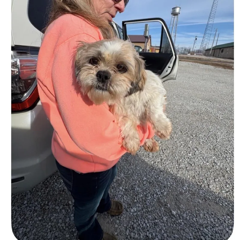 Memphis Belle thumbnail 5