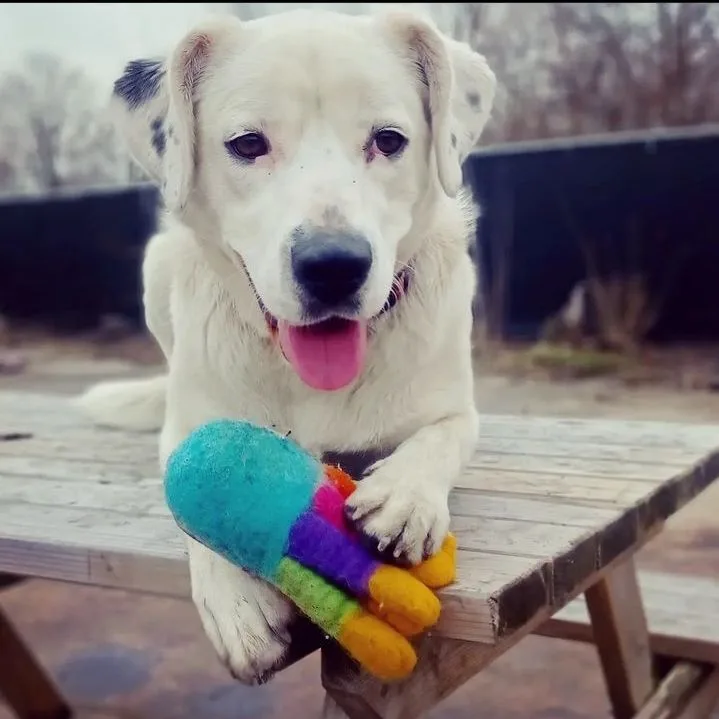Maggie thumbnail 2