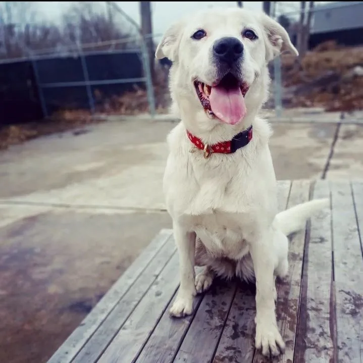 Maggie thumbnail 3