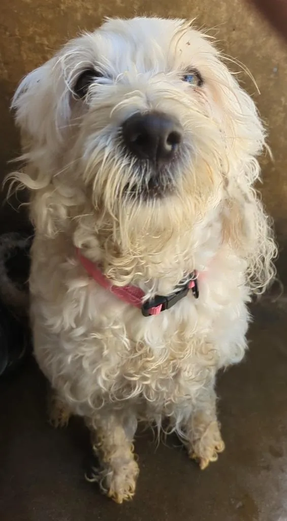 Lola thumbnail 4