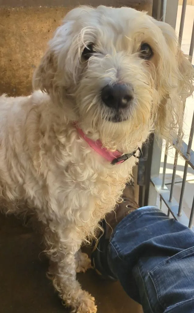 Lola thumbnail 5