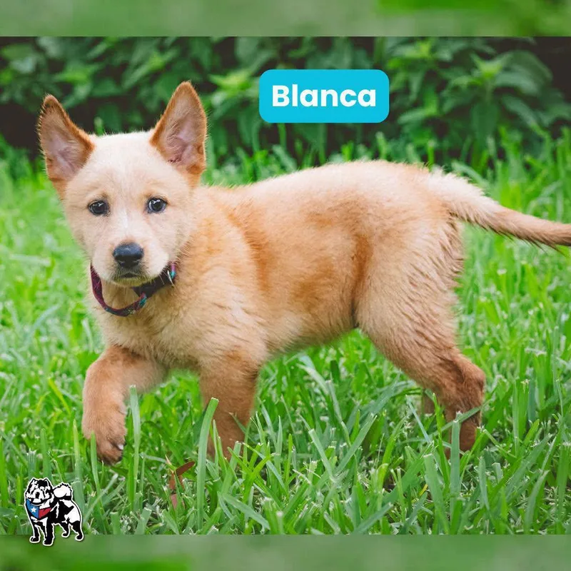 Blanca thumbnail 2