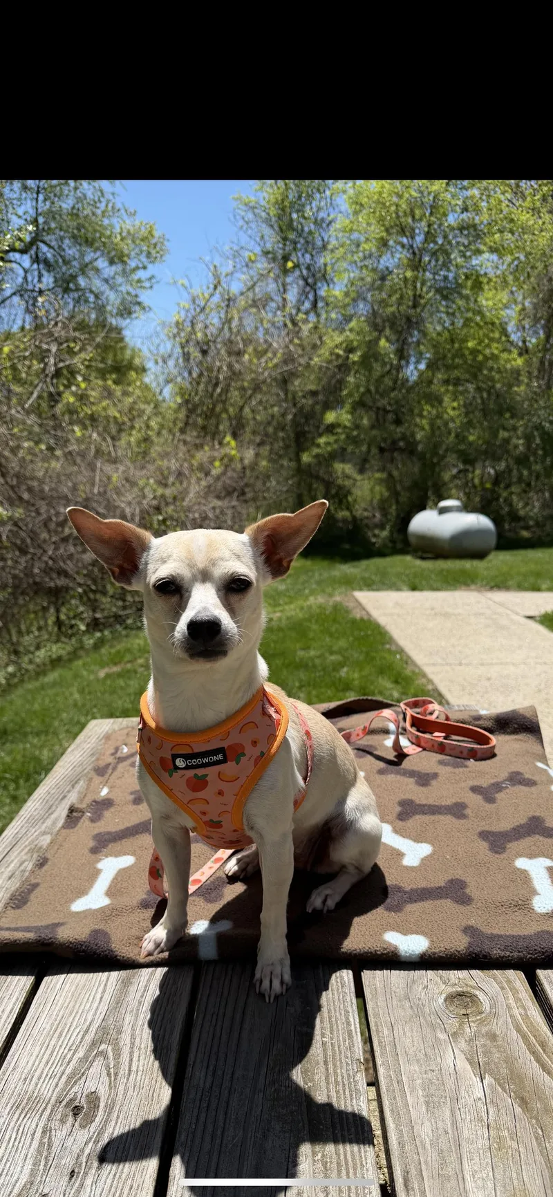 Sally thumbnail 6