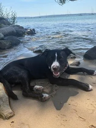 Onyx
