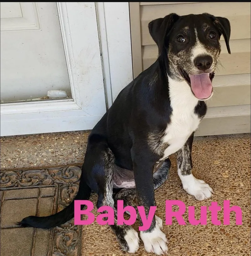 Baby Ruth