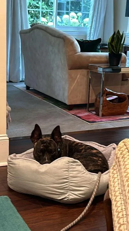 Major Payne thumbnail 2