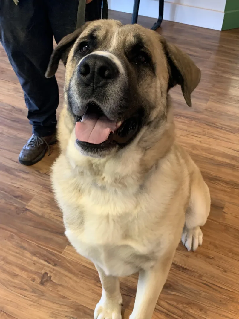 Zeus