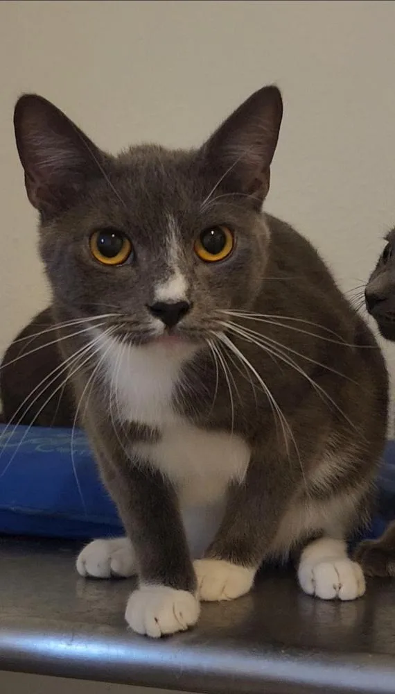 Ziploc thumbnail 5