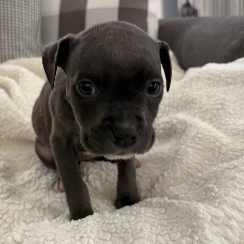 Skylar ~ Coming Soon!!! thumbnail 2