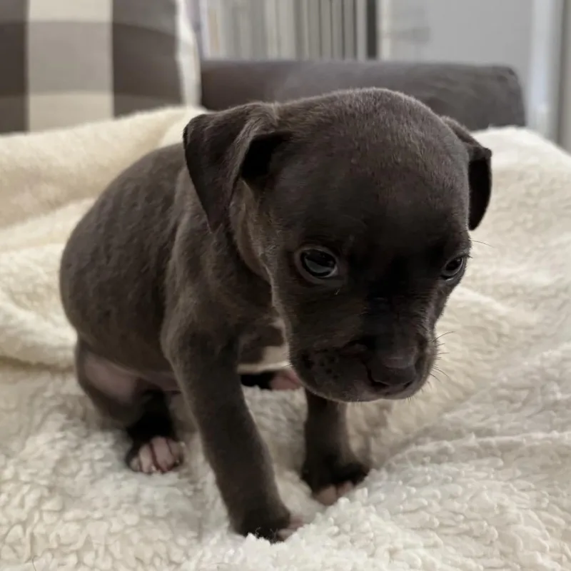 Skylar ~ Coming Soon!!! thumbnail 4