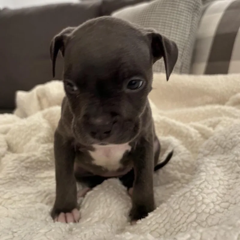 Skylar ~ Coming Soon!!! thumbnail 5