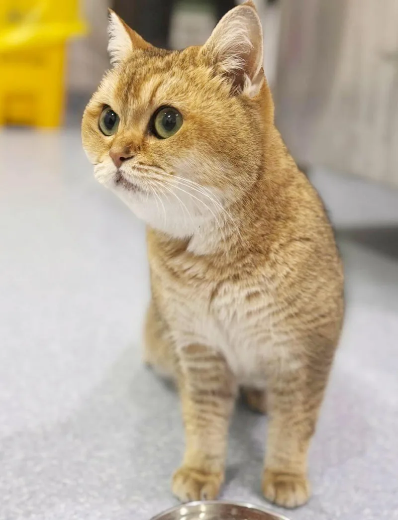 Sienna Is Sensational  thumbnail 2