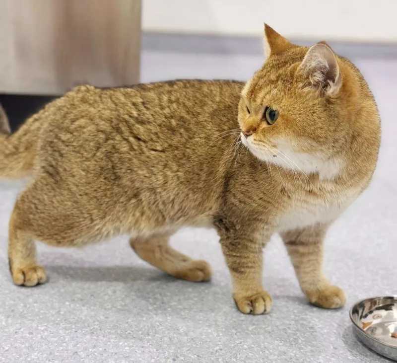 Sienna Is Sensational  thumbnail 3