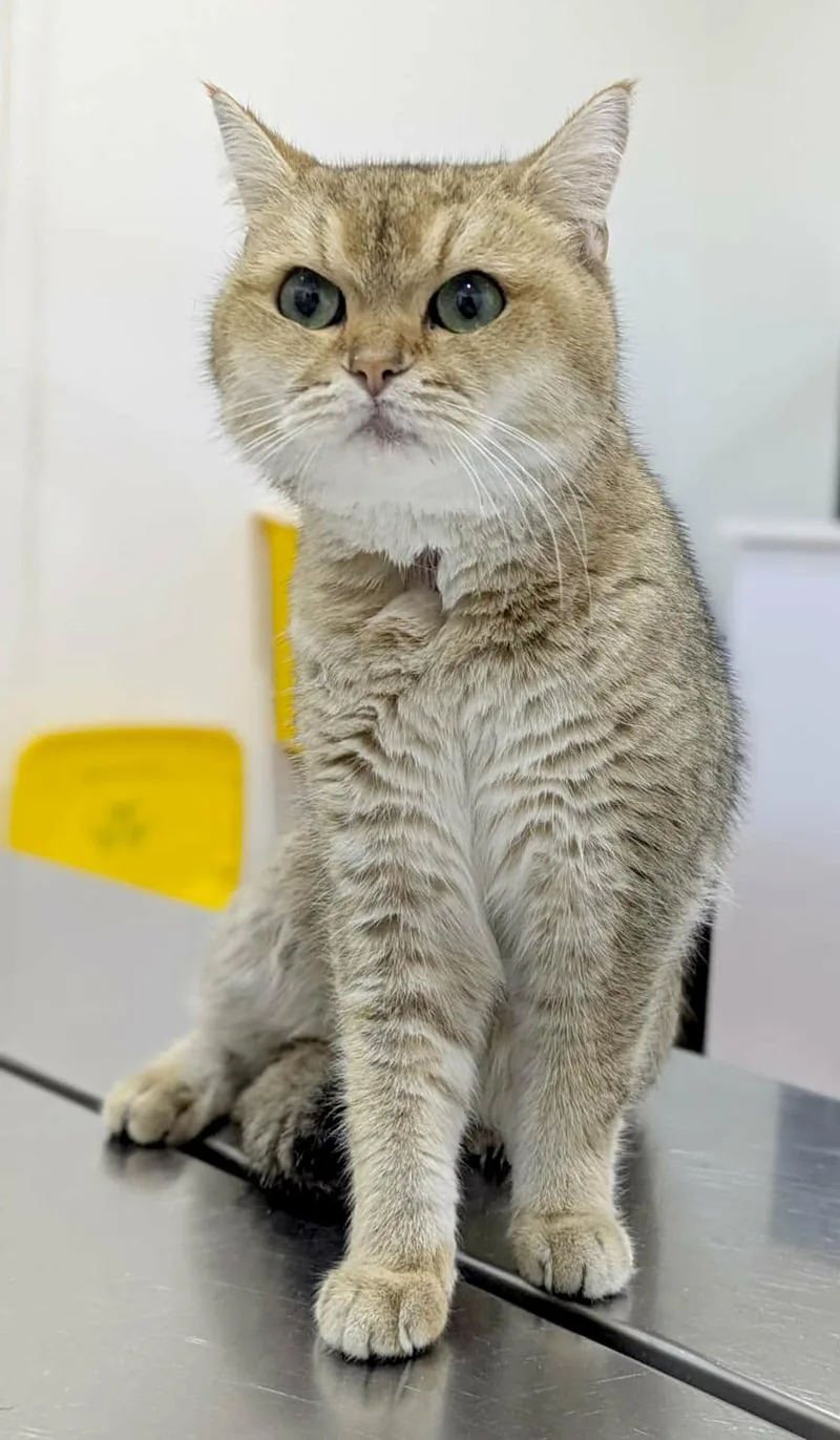 Sienna Is Sensational  thumbnail 4