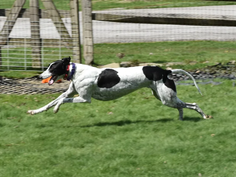 Wembanyama "bones" thumbnail 3