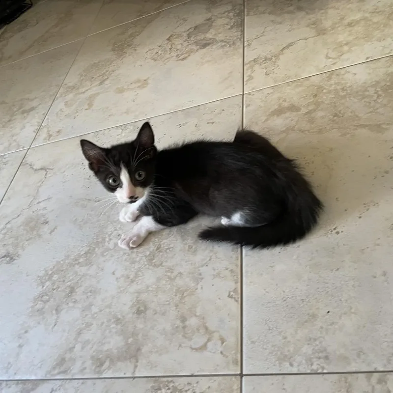Mimi thumbnail 3