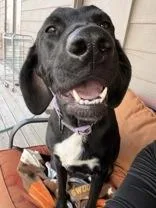 Delta