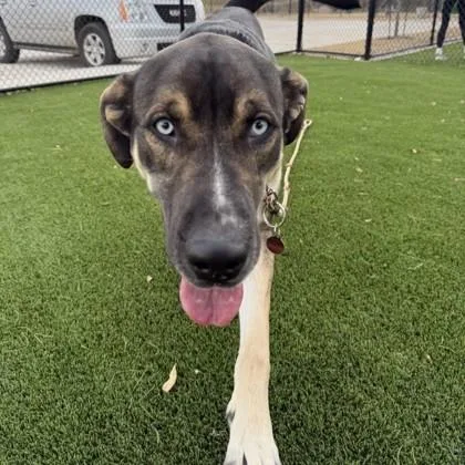 Blizzard thumbnail 2