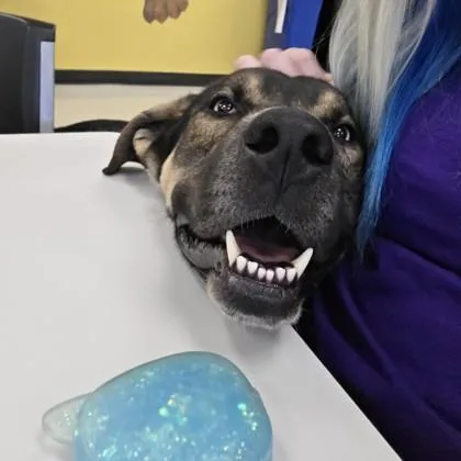 Blizzard thumbnail 4