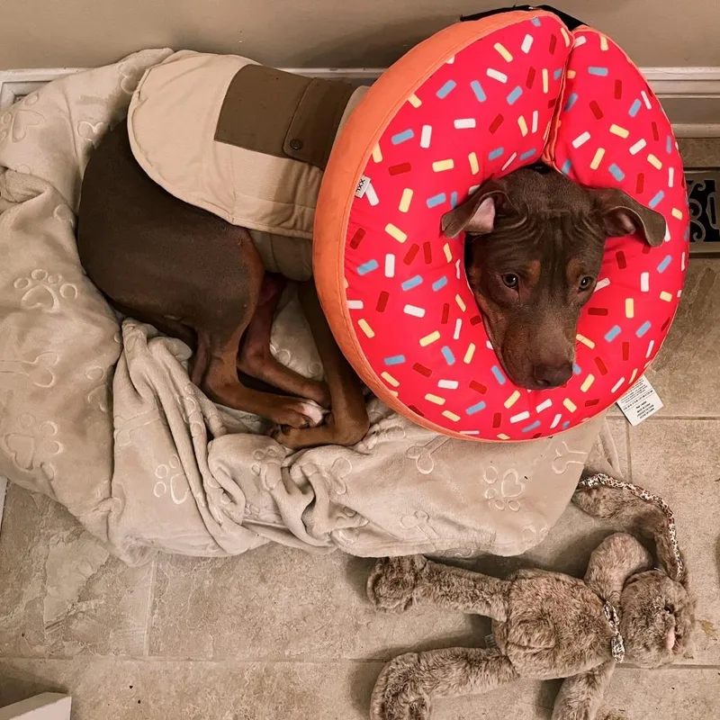 Wilson thumbnail 4