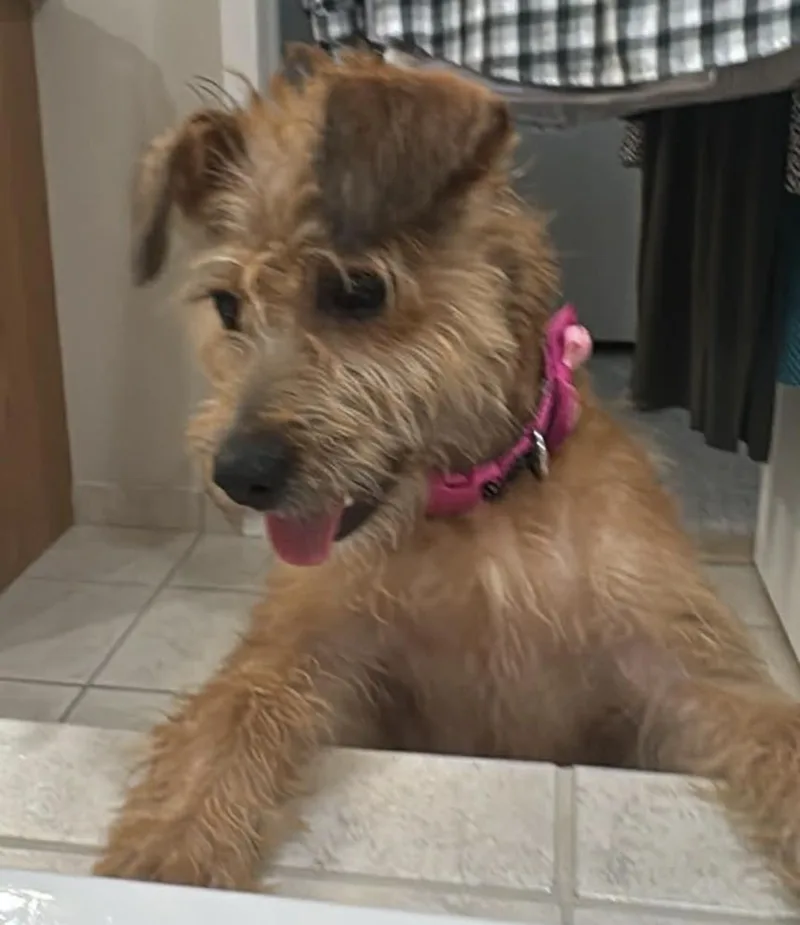 Zoey In Novi Mi thumbnail 3