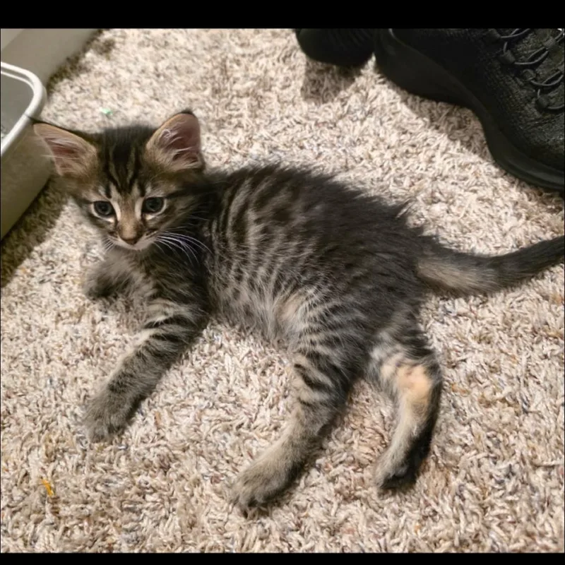 Delilah thumbnail 6