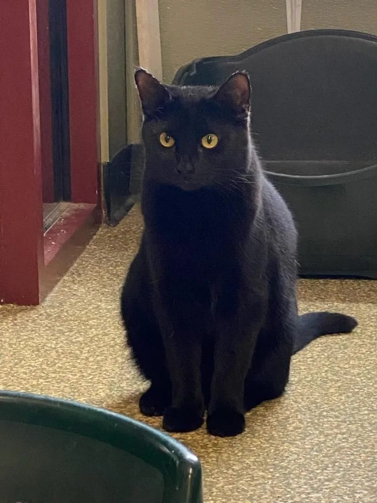 Ava & Gracie thumbnail 2