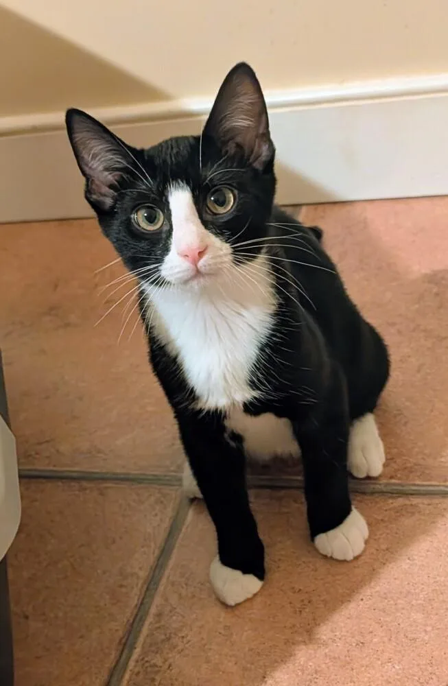 Tux