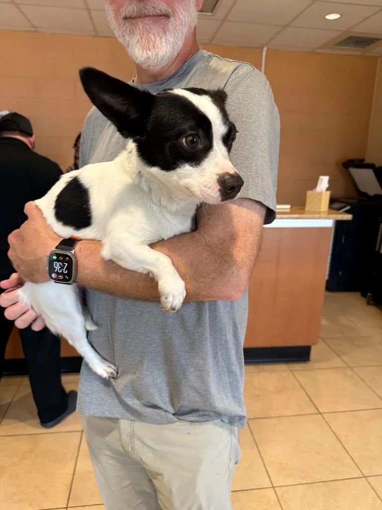 Macaroon thumbnail 2