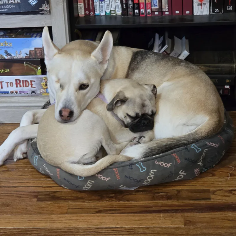 Botan Courtesy Listed thumbnail 2