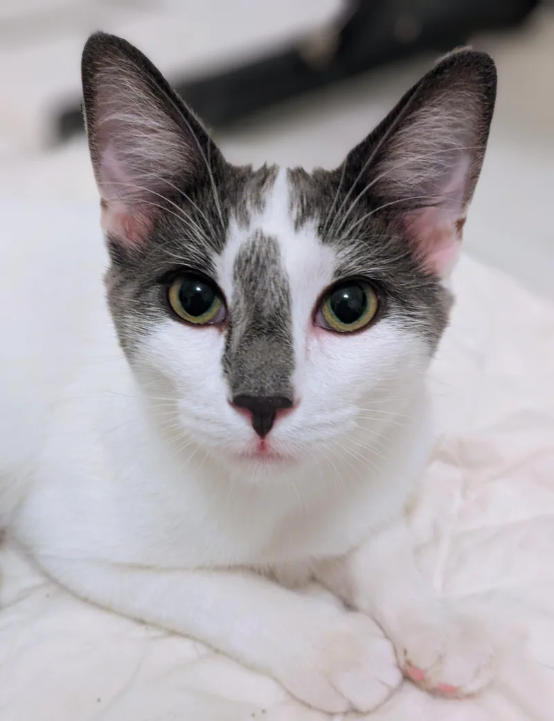 Mimi thumbnail 3