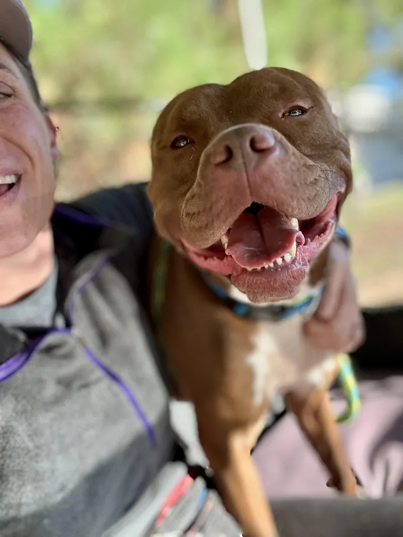 Harrison thumbnail 3