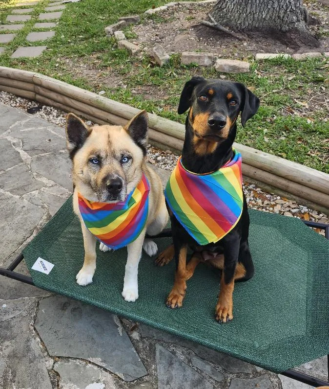 Sugar Sugar thumbnail 5