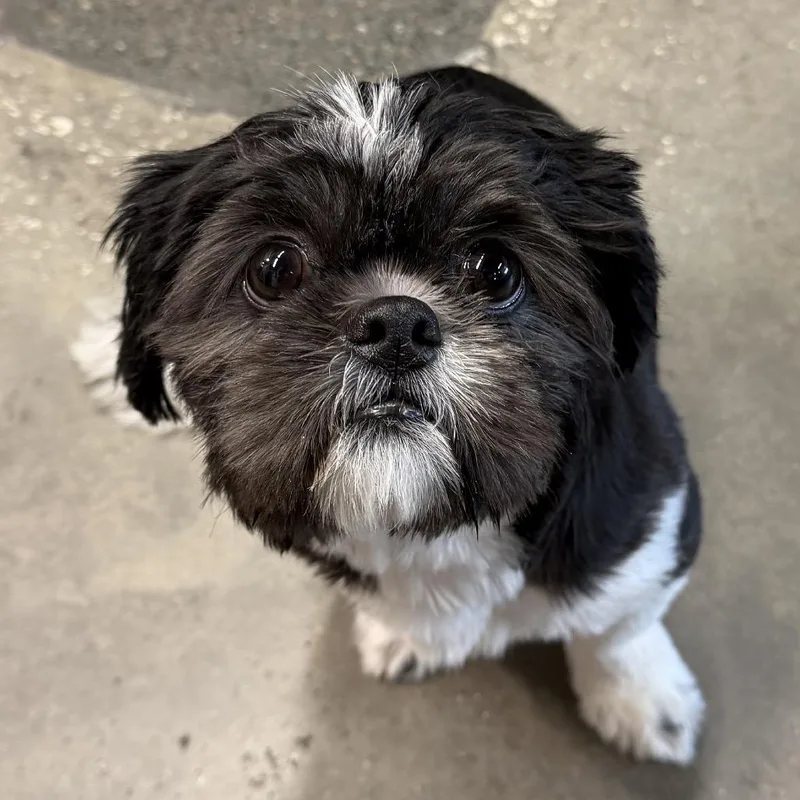 Murphy