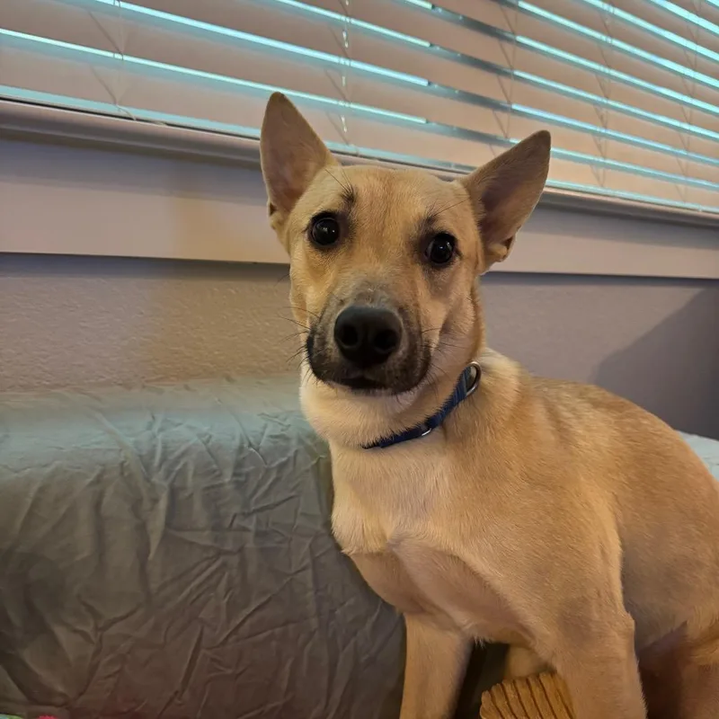 Bubble Yum thumbnail 5