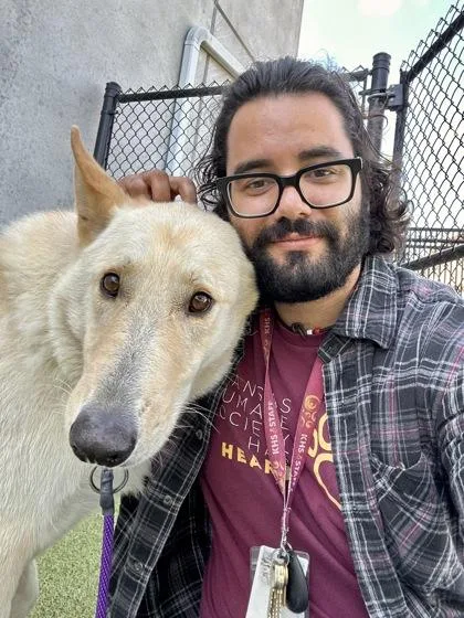 An adult large-sized male Yellow / Tan / Blond / Fawn Mixed Breed dog named Torbek for adoption in Wichita, KS