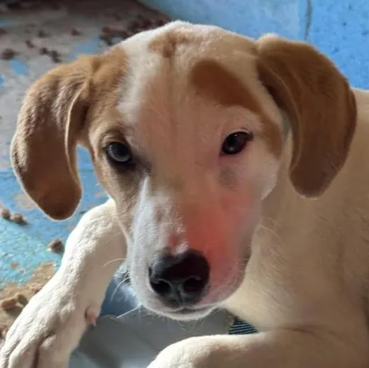 Linus Latte thumbnail 2