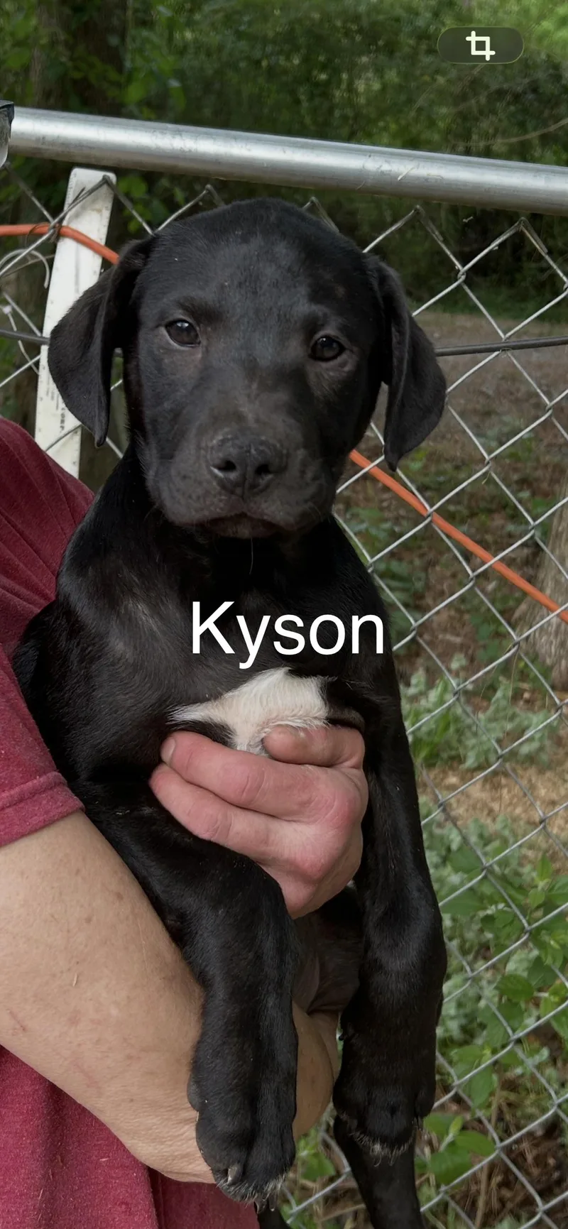 Kyson