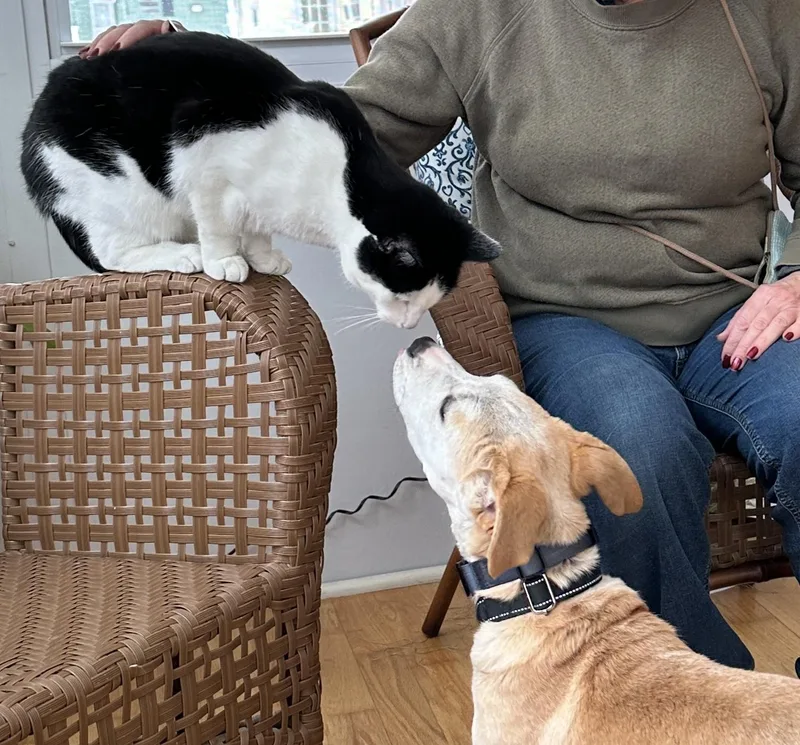 Brandy Spirits  Local thumbnail 4