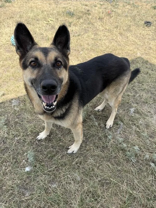 Marco
