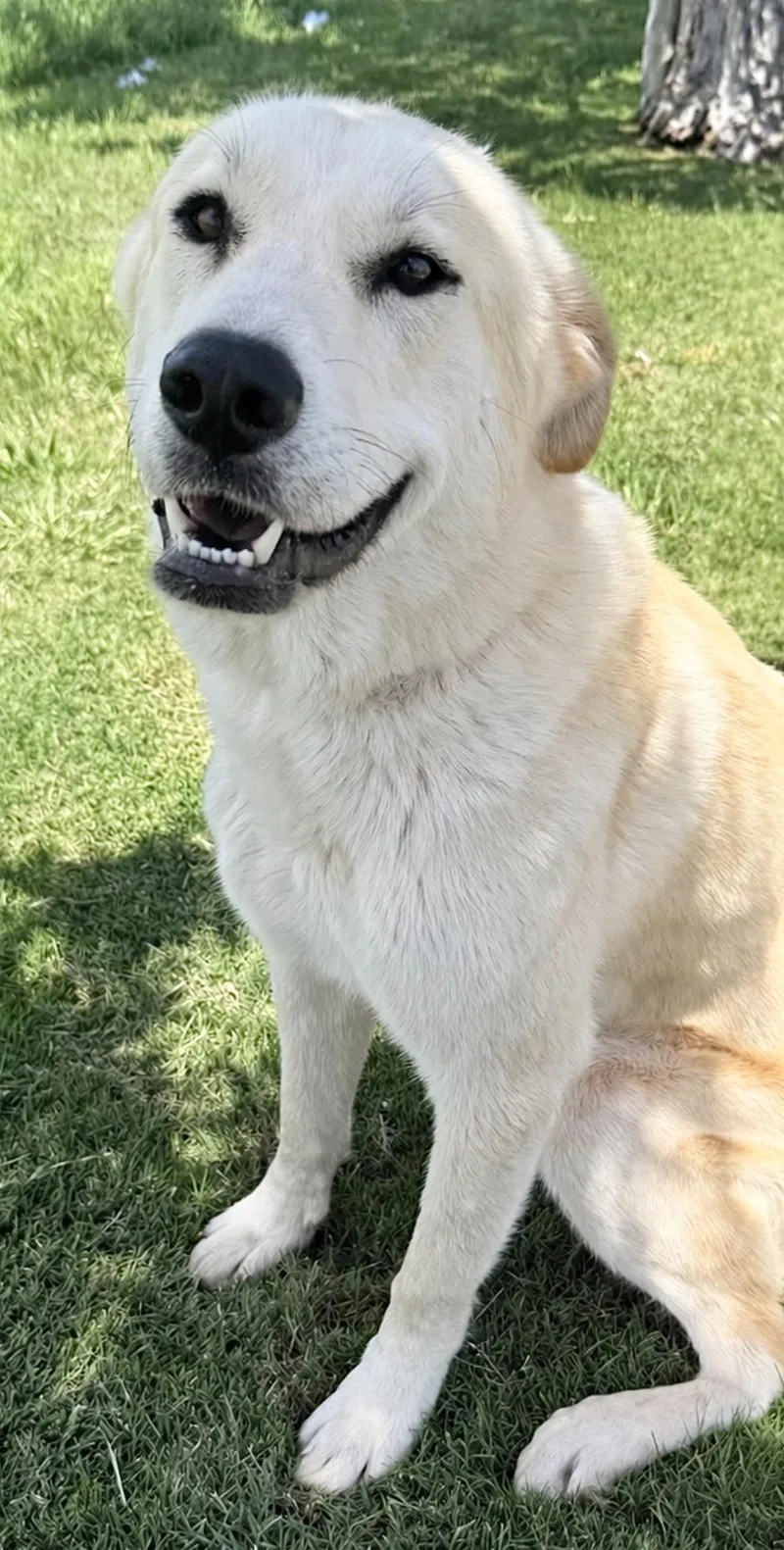 Charlie