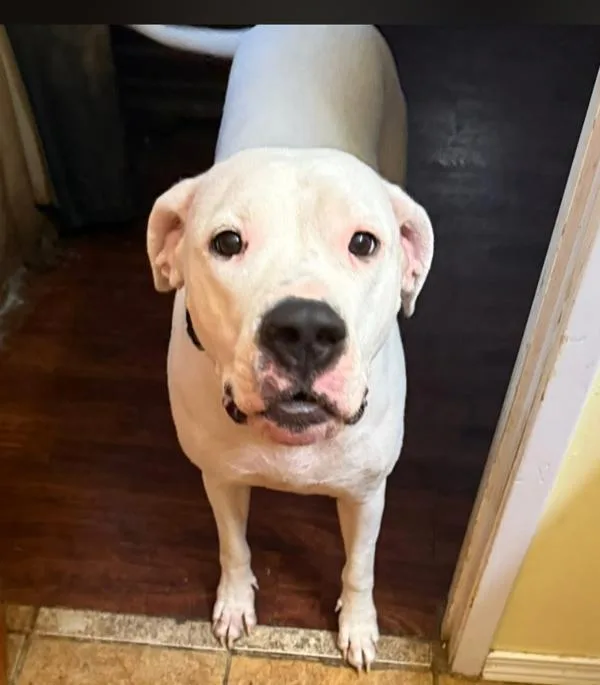 Sadie