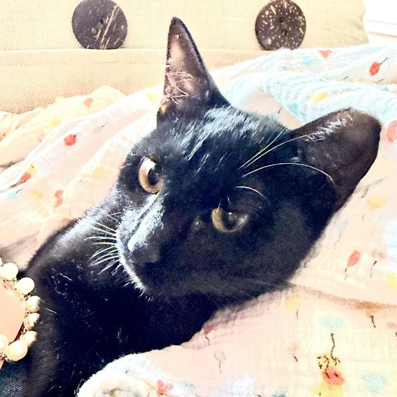 Sally thumbnail 3
